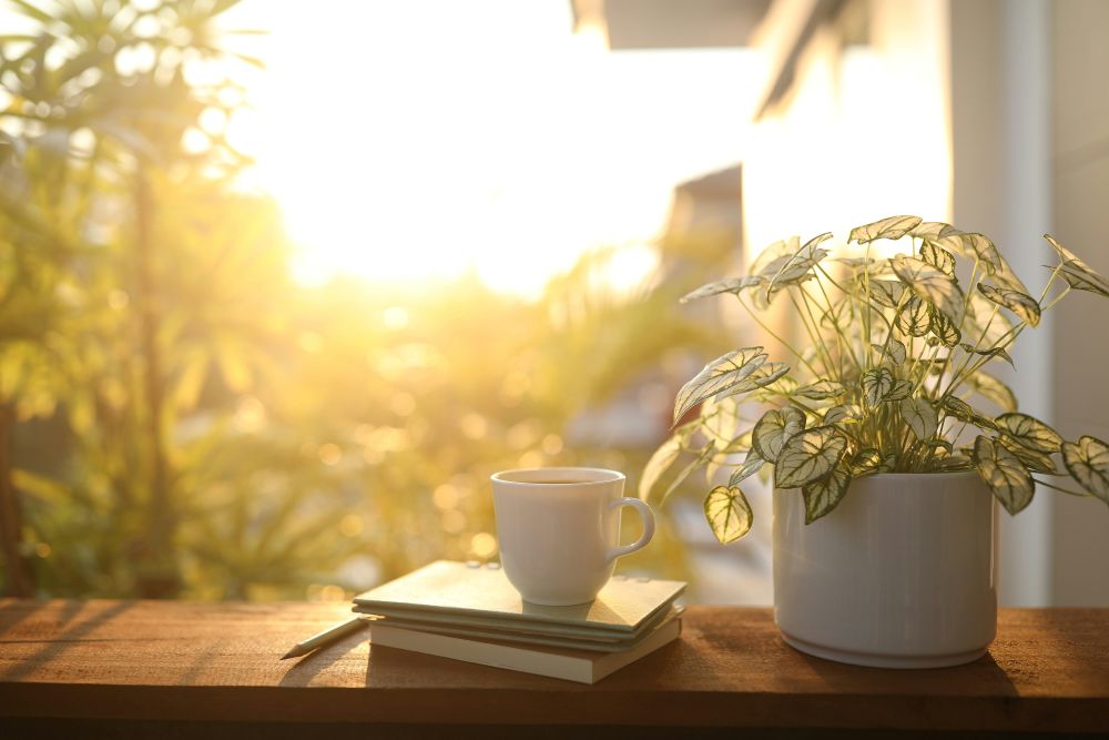 A teacup sits on a book on a wooden surface surrounded by fresh plants and dappled sunlight, symbolizing a calm space for reflection and healing.